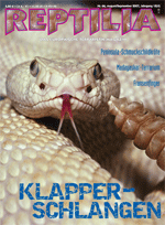 Reptilia Nr. 66 Klapperschlangen