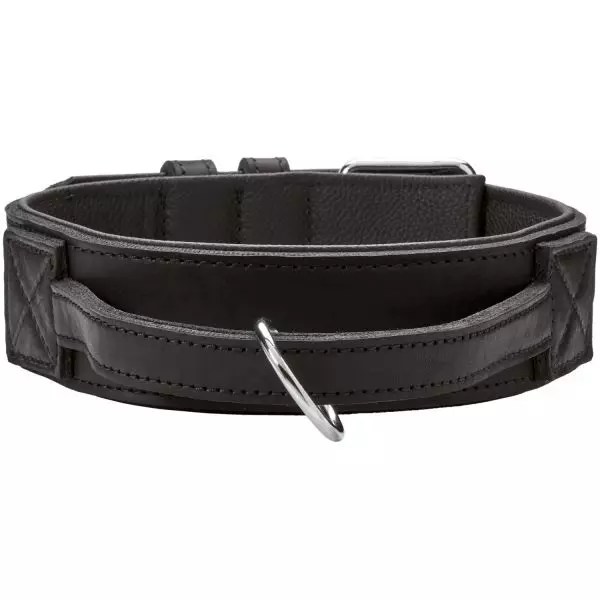 Training collar with handle - Lavik