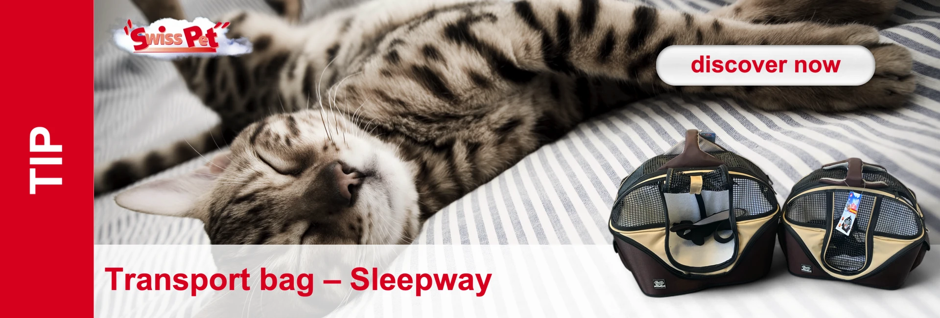 A tabby cat sleeps on a striped cushion next to two pet transport boxes.