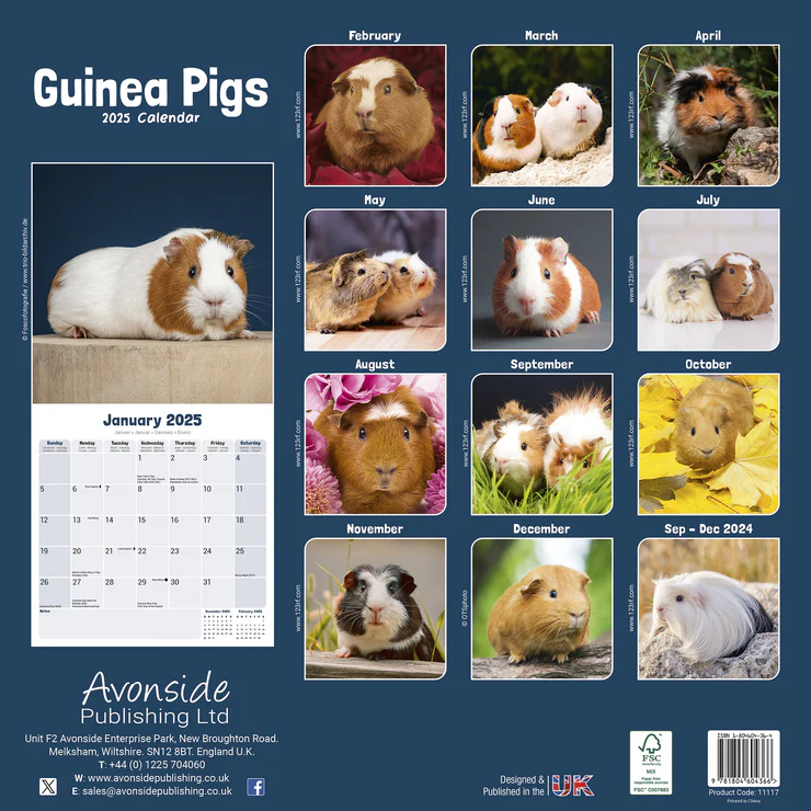 Kalender 2025 Meerschweinchen - Guinea Pig