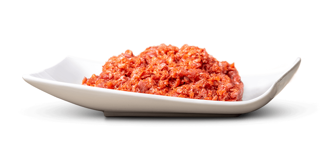 Reddish-pink raw minced meat with fine flecks of fat is loosely arranged on an oblong white ceramic dish against a neutral white background. Freshly minced, ready for cooking. Slight shadows beneath the dish.
