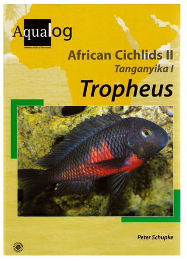 African cichlids ll Tanganyika l