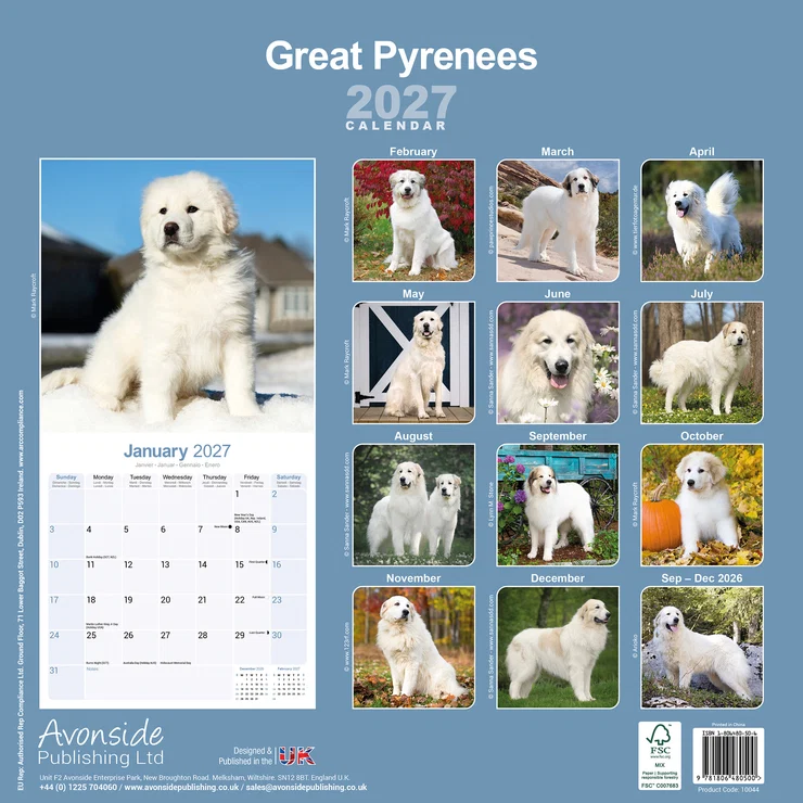 Calendrier 2026 Chien de montagne des Pyrénées - Great Pyrenees