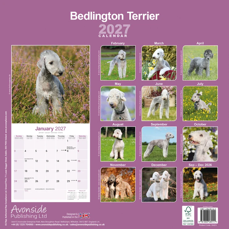 Kalender 2027 Bedlington Terrier