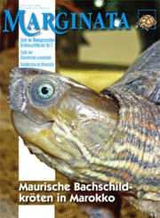 Marginata Nr.31 - Maurische Bachschildkröten in Marokko