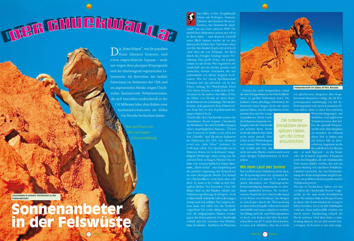 reptilia-102-2 Reptilia 102 - Pfeilgiftfrösche, Newcomer und Evergreens