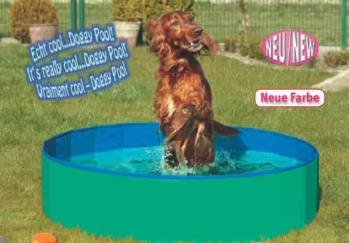 Un cane marrone si trova in una piscina per cani rotonda, piena d'acqua e color menta, su un prato verde.
