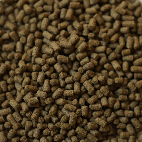 Gros plan : DuplaRin Axolotl Snack, granulés descendants pour axolotls et autres amphibiens. Petits morceaux d'aliments texturés dans des tons de terre.