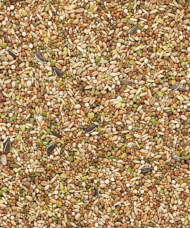 Versele laga Chicken Snack Country's Best Garden Mix 1 kg Versele laga Chicken Snack Country's Best Garden Mix 1 kg