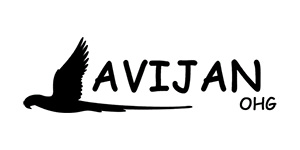 Avijan