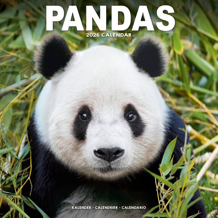 Kalender 2026 - Pandas
