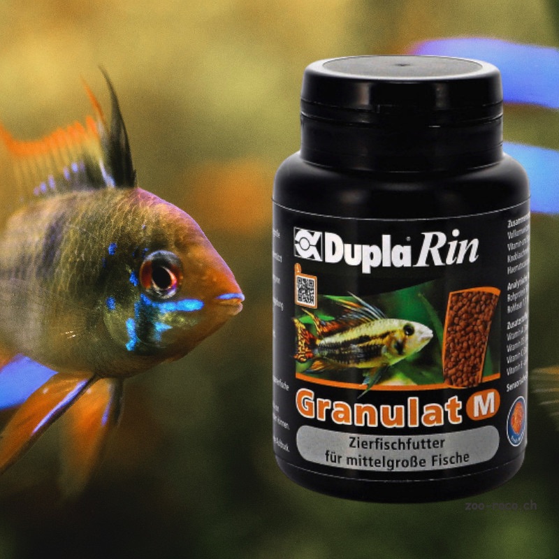 Ein Zierfisch neben einer Dose DuplaRin Granulat M. Die Dose zeigt ein Bild von einem ähnlichen Fisch und Granulatfutter.