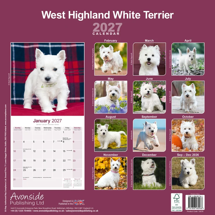 Kalender 2027 Westie - West Highland White Terrier