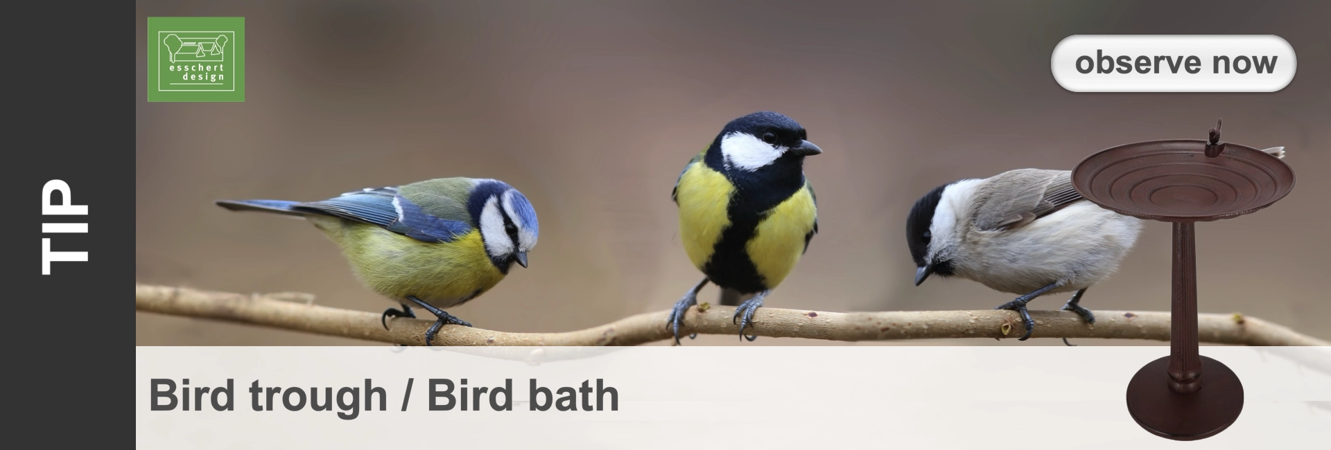 promo-eschert-vogelbad-en