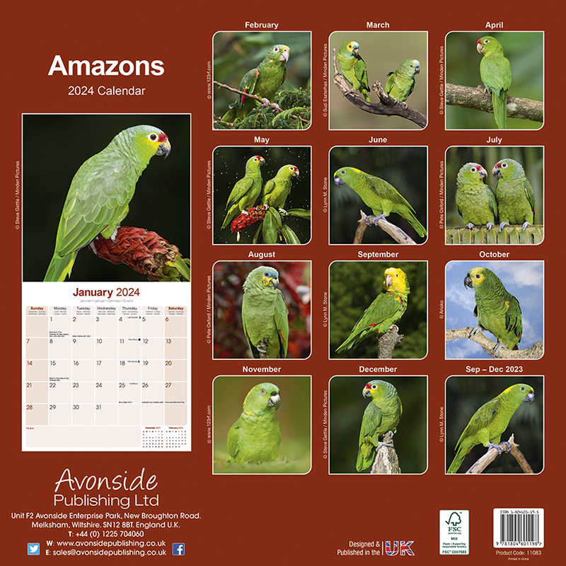 Calendrier 2024 Amazonie Perroquets - Amazones