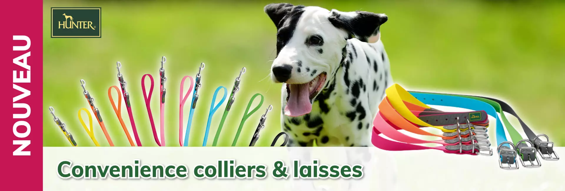 Hunter Convenience colliers & laisses réglables