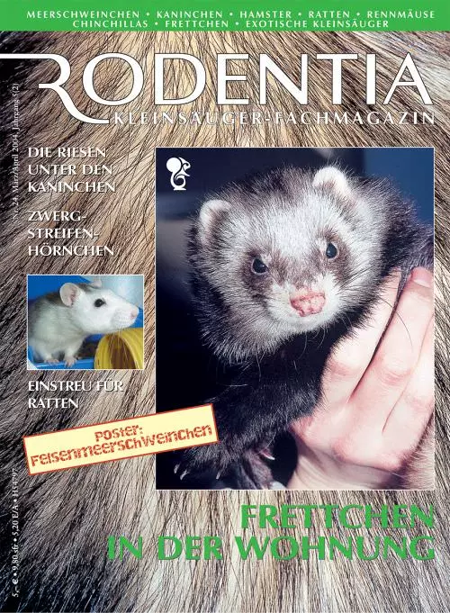 Rodentia 24 - Frettchen in der Wohnung