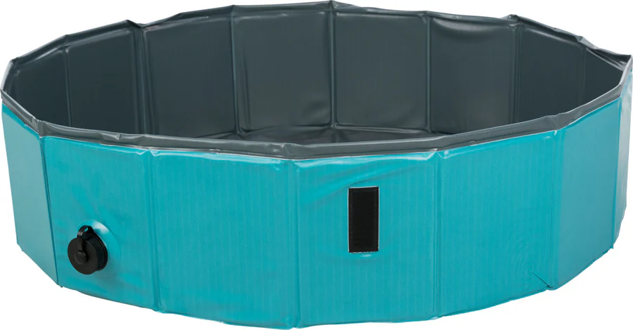Piscine pour chiens Piscine pour chiens