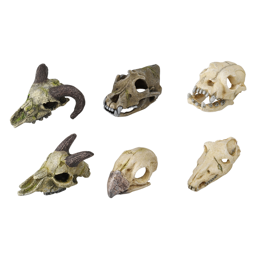 Decor mini animal skull 