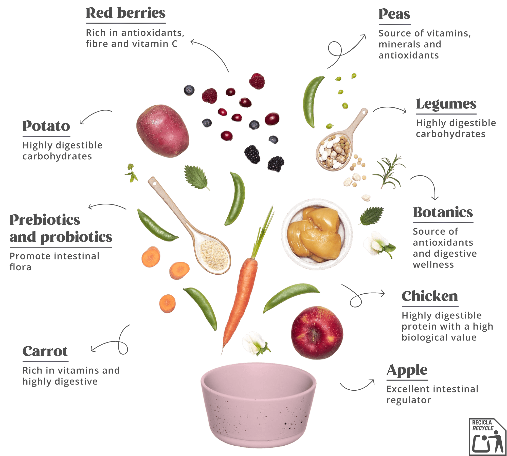 Summit10 - Adult - FRESH CHICKEN MINI