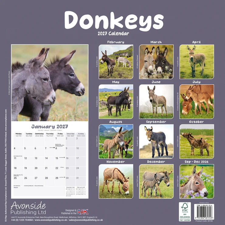 Kalender 2027 Esel - Donkeys - Jackasses