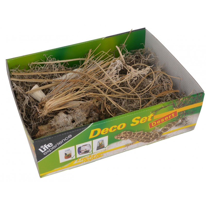 Deco Set Desert - Terrariendekoration Deco Set Desert - Terrariendekoration