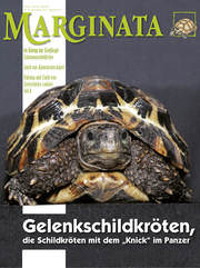 Marginata Nr. 34 - Gelenkschildkröten, die Schildkröten mit dem Kick im Panzer