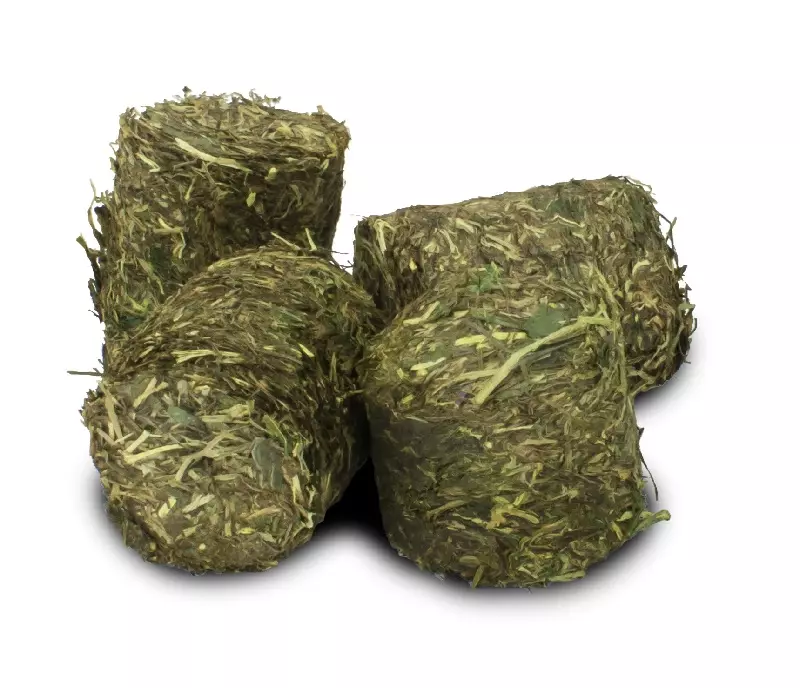 jr-farm-grainless-niere-und-blase-2 JR Farm Grainless Vital-Blocks Niere und Blase