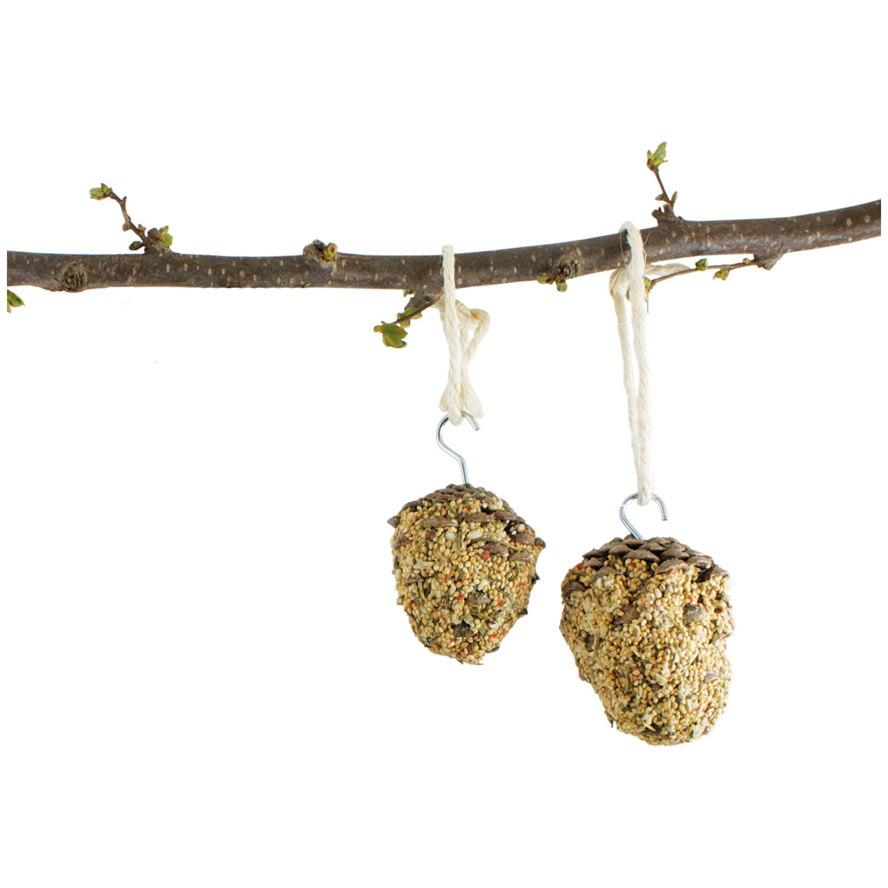 Two conical bird feed cones, generously covered with various seeds and grains, hang from a horizontal brown branch, suspended by cream-coloured strings and silver hooks. Small green leaf buds can be seen on the branch.