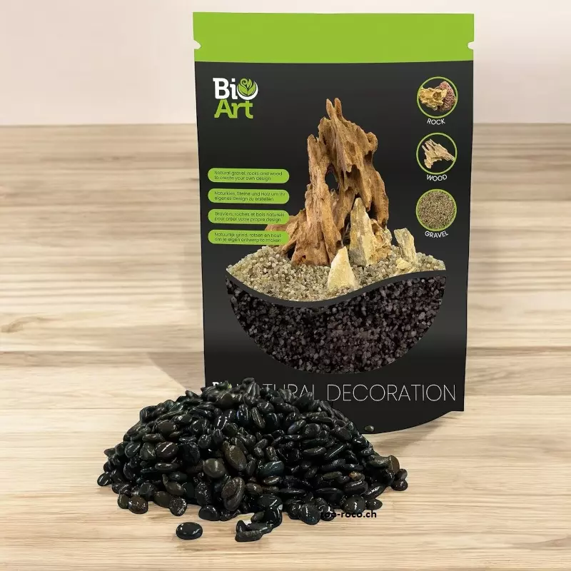 BioArt Kies schwarz