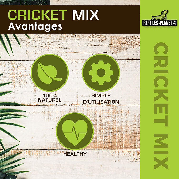 Cricket Mix