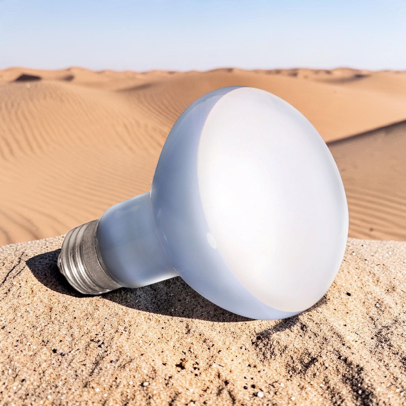 Lampe chauffante blanc-gris mat avec culot à vis E27 posée sur du sable, avec en arrière-plan des dunes et un ciel bleu comme dans le désert. Daylight Basking Spot : diffuse chaleur et lumière pour le terrarium, idéale pour les reptiles.