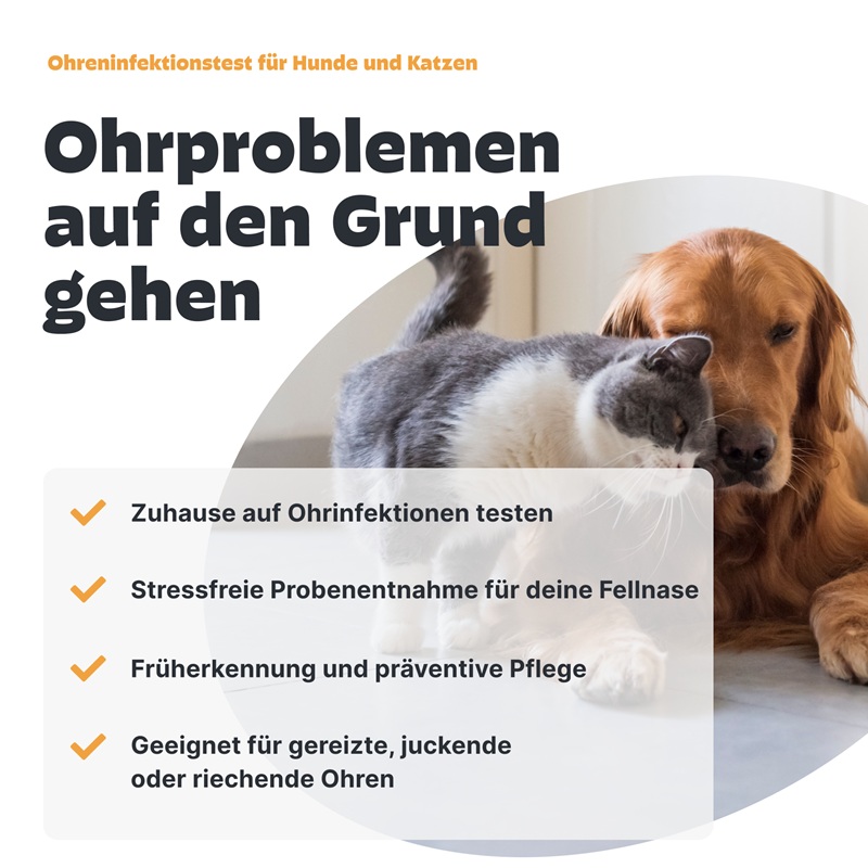 Ohrentest für Hunde und Katzen