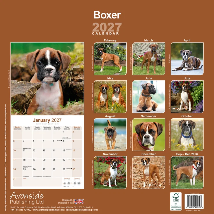 Kalender 2027 Boxer