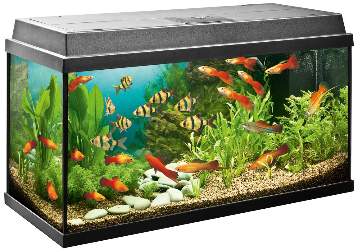 Aquarium Primo 110 LED, 81x36x45cm