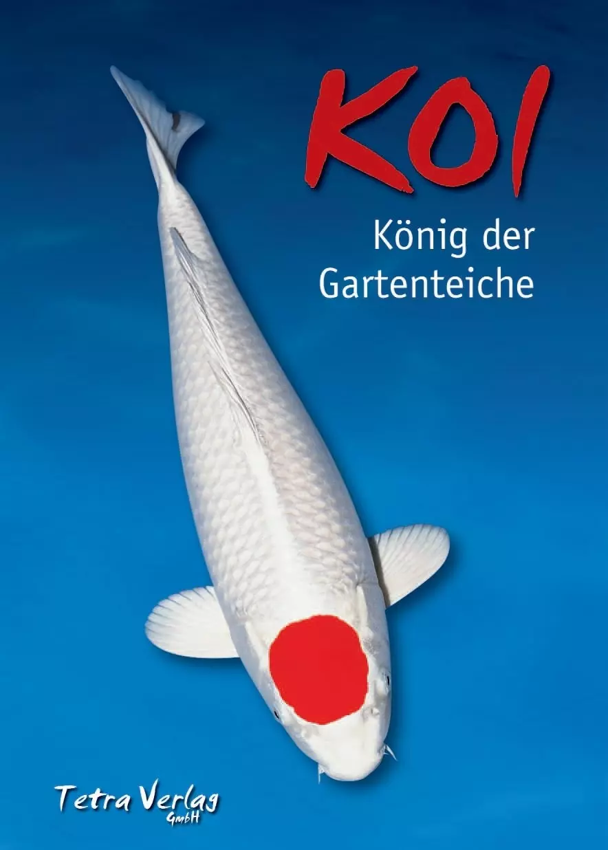 Tetra Koi König des Gartenteiches