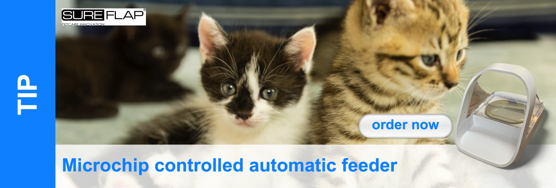 Three kittens, one black, one black and white and one tabby, lie in front of a chip-controlled automatic feeder.