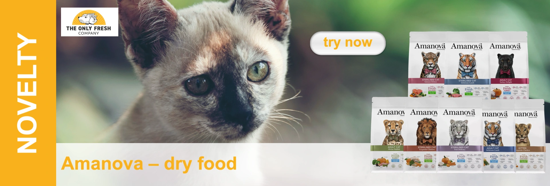 Close-up of a light-coloured cat with green eyes next to cat food packaging of various flavours.