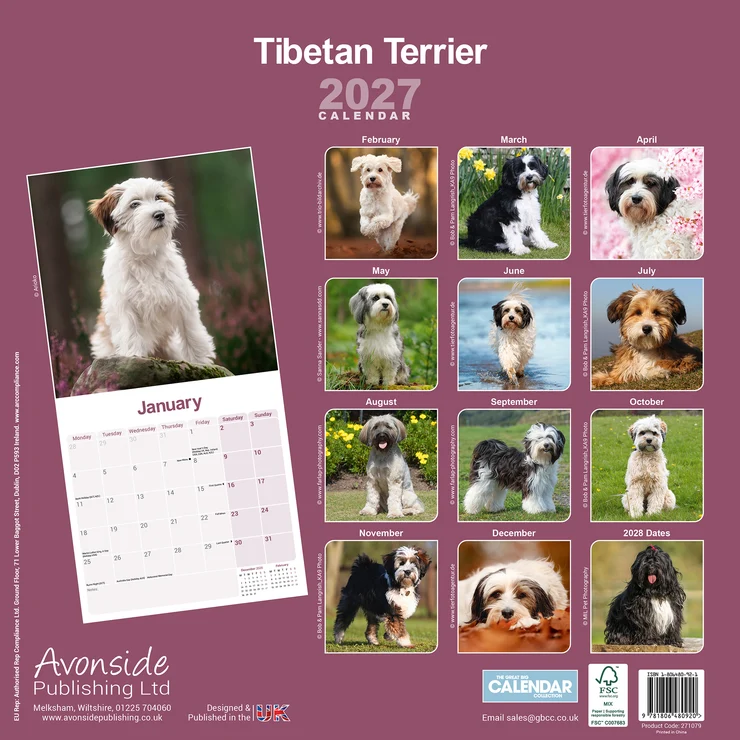 Kalender 2027 Tibet-Terrier - Tibetan Terrier