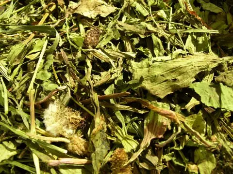 4a087f73810ebd31fc028f83cbd95436 Schweizer Aide aux herbes 100g