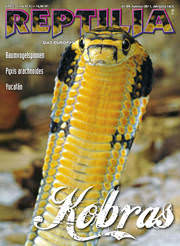 Reptilia 89 - Kobras