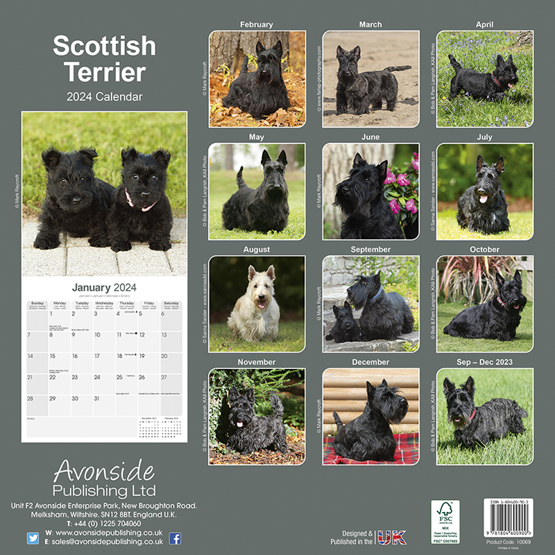 Calendar 2024 Scottish Terrier