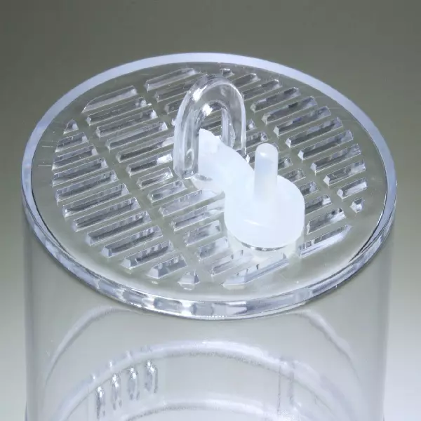 Critter Box - Aufzuchtdose Critter Box - Aufzuchtdose