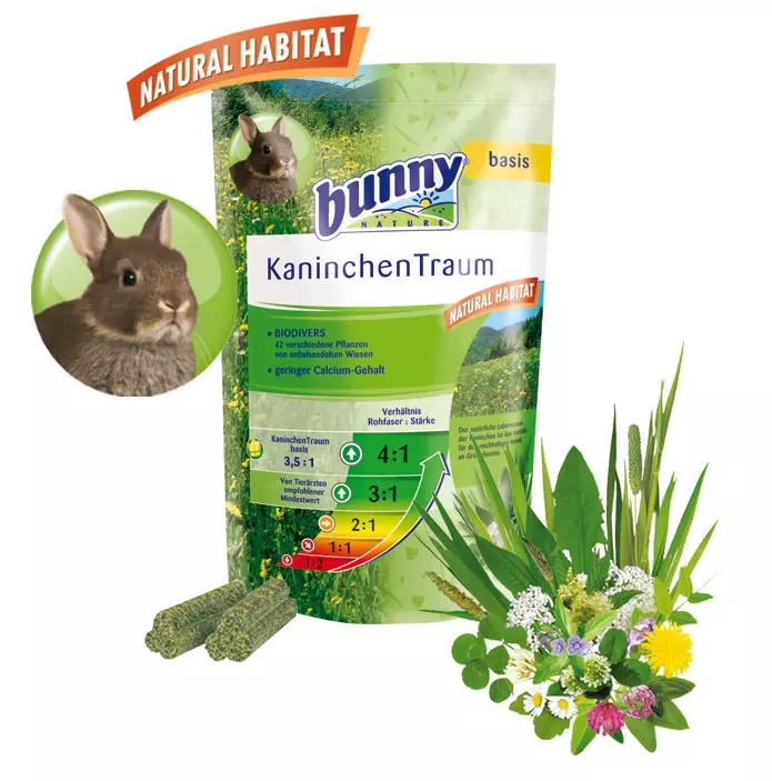 Bunny KaninchenTraum basis