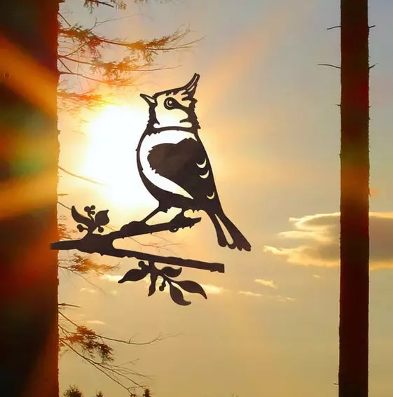 Tree plug crested tit