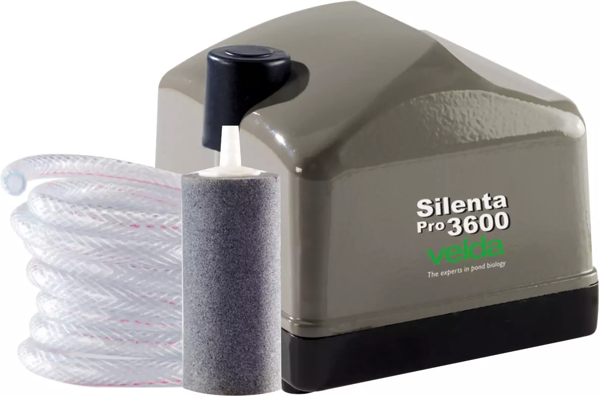 Velda, Silenta Pro