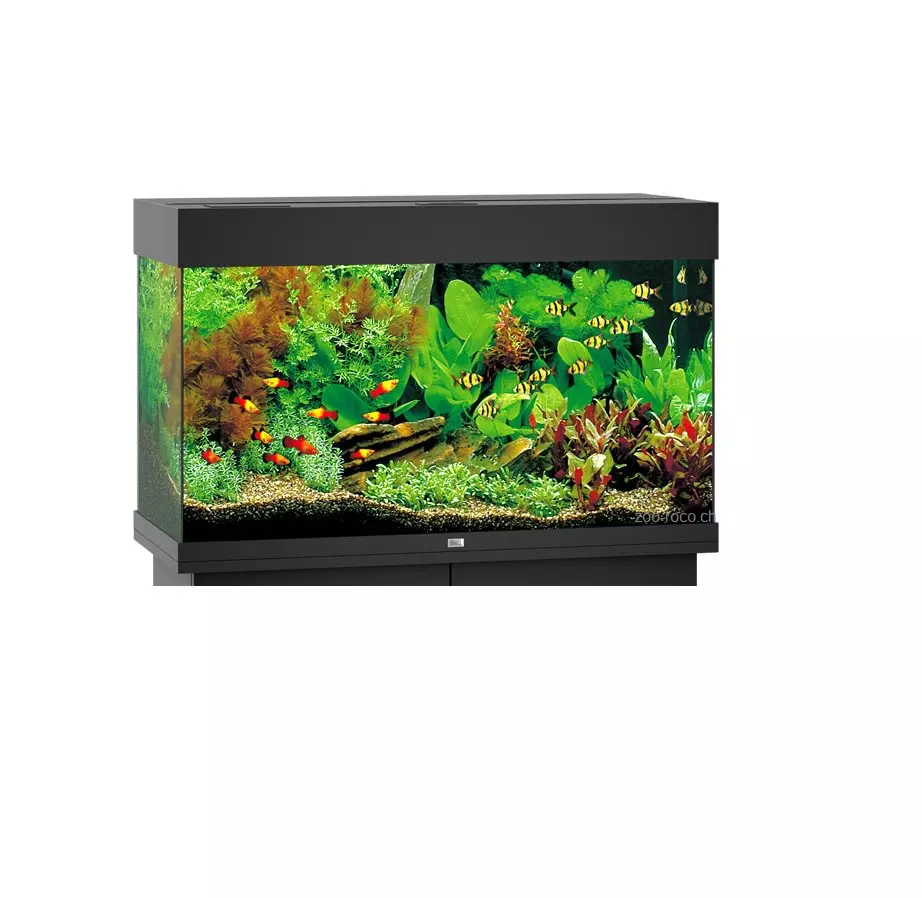 schwarz-aquarium578f3c04e4606 Juwel Aquarium Rio 125