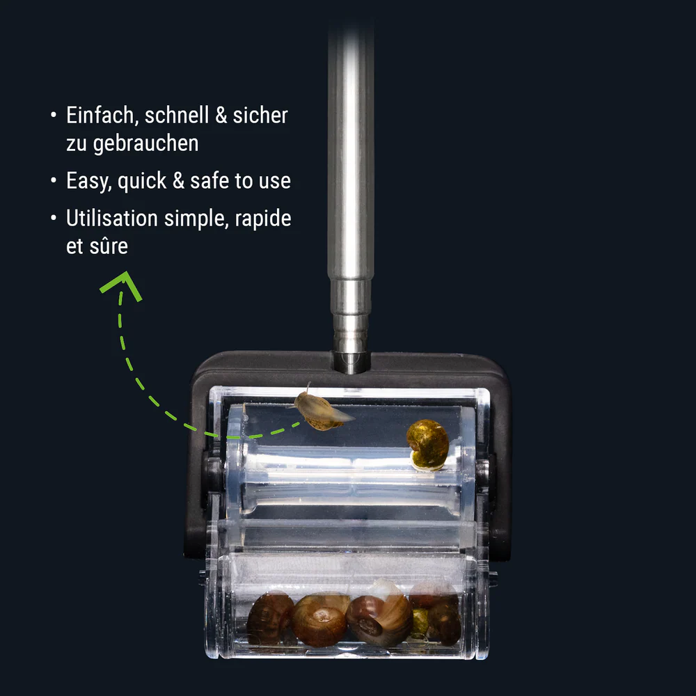 Schneckenfänger Snail Catcher