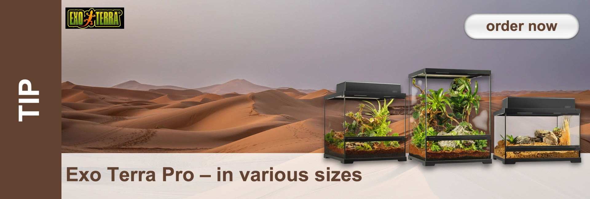 Desert landscape with three terrariums of different sizes, filled with plants and substrate.