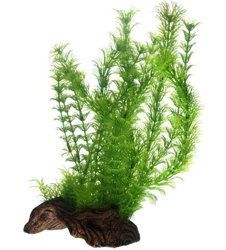 Hobby Flora Root 3L